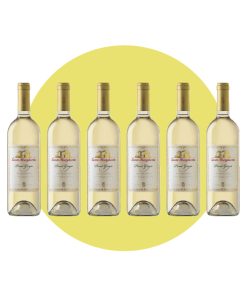 Santa Margherita, Pinot grigio 2023, 750 ml – Box 6 Bottiglie