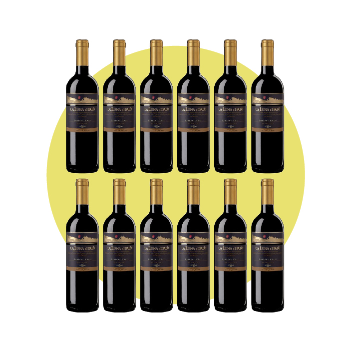 Vite Colte, Barbera d’Asti Superiore La Luna e i Falò 2021, 750 ml – Box 12 Bottiglie