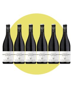 Saint Saturnin de Vergy, Pinot noir Bourgogne Hautes Côtes de Beaune 2020, 750 ml – Box 6 Bottiglie