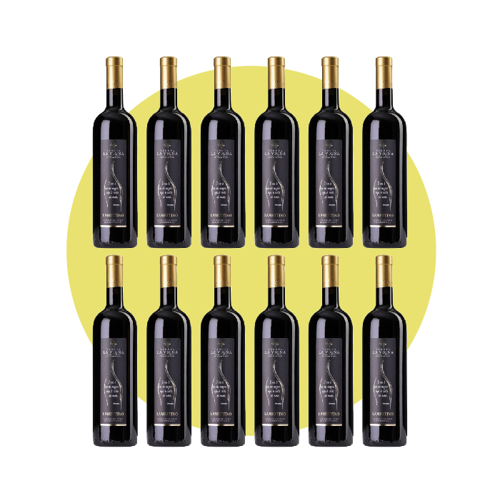 Tenuta La Vigna, Capriano del Colle Lamettino 2021, 750 ml – Box 12 Bottiglie