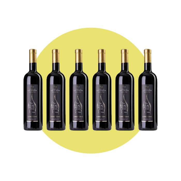 Tenuta La Vigna, Capriano del Colle Lamettino 2021, 750 ml – Box 6 Bottiglie