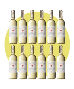 Santa Cristina – Antinori, Santa Cristina Bianco 2023, 750 ml – Box 12 Bottiglie