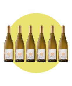 Hofstätter, De Vite 2023, 750 ml – Box 6 Bottiglie