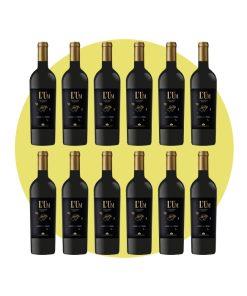 Lungarotti, L’Um Rosso 2022, 750 ml – Box 12 Bottiglie