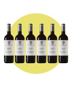 Marchesi di Grésy, Nebbiolo Langhe Martinenga 2022, 750 ml – Box 6 Bottiglie