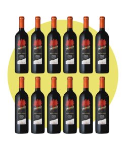 Frescobaldi – Grosseto, Morellino di Scansano Santa Maria 2023, 750 ml – Box 12 Bottiglie