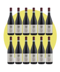 Ca’ Viola, Nebbiolo Langhe Rangone 2022, 750 ml – Box 12 Bottiglie