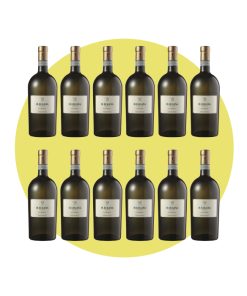 Pasini San Giovanni, Il Lugana 2023, 750 ml – Box 12 Bottiglie