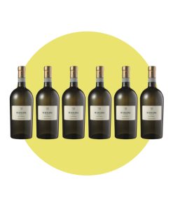 Pasini San Giovanni, Il Lugana 2023, 750 ml – Box 6 Bottiglie