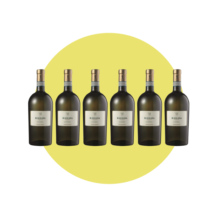 Pasini San Giovanni, Il Lugana 2023, 750 ml – Box 6 Bottiglie