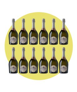Santa Margherita, Prosecco di Valdobbiadene Superiore Extra dry, 750 ml – Box 12 Bottiglie