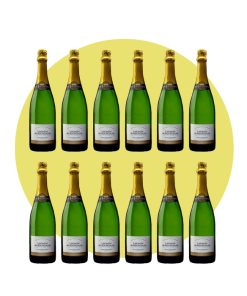 Terres Secrètes, Crémant de Bourgogne Blanc de Blancs Brut, 750 ml – Box 12 Bottiglie
