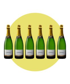 Terres Secrètes, Crémant de Bourgogne Blanc de Blancs Brut, 750 ml – Box 6 Bottiglie