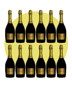 Bottega, Valdobbiadene Prosecco Superiore Stefano Bottega Extra dry 2023, 750 ml – Box 12 Bottiglie