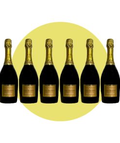 Bottega, Valdobbiadene Prosecco Superiore Stefano Bottega Extra dry 2023, 750 ml – Box 6 Bottiglie