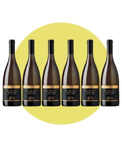 Kettmeir, Chardonnay Vigna Maso Reiner 2022, 750 ml – Box 6 Bottiglie