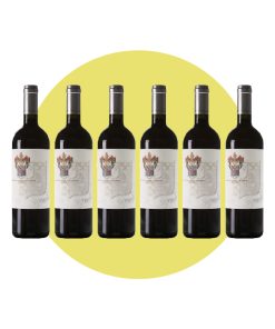 Marchesi di Grésy, Langhe Rosso Virtus 2012, 750 ml – Box 6 Bottiglie