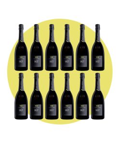 Contadi Castaldi, Franciacorta Brùt, 750 ml – Box 12 Bottiglie