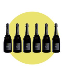 Contadi Castaldi, Franciacorta Brùt, 750 ml – Box 6 Bottiglie