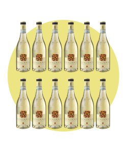 Ottella, Lugana 2024, 750 ml – Box 12 Bottiglie