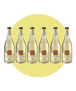 Ottella, Lugana 2024, 750 ml – Box 6 Bottiglie