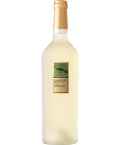 Feudi di San Gregorio, Fiano di Avellino Riserva Campanaro 2020, 750 ml