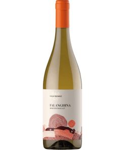 Villa Raiano, Falanghina Beneventano 2021, 750 ml