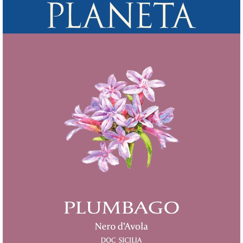 Planeta, Nero d’Avola Plumbago 2021, 750 ml - immagine 2