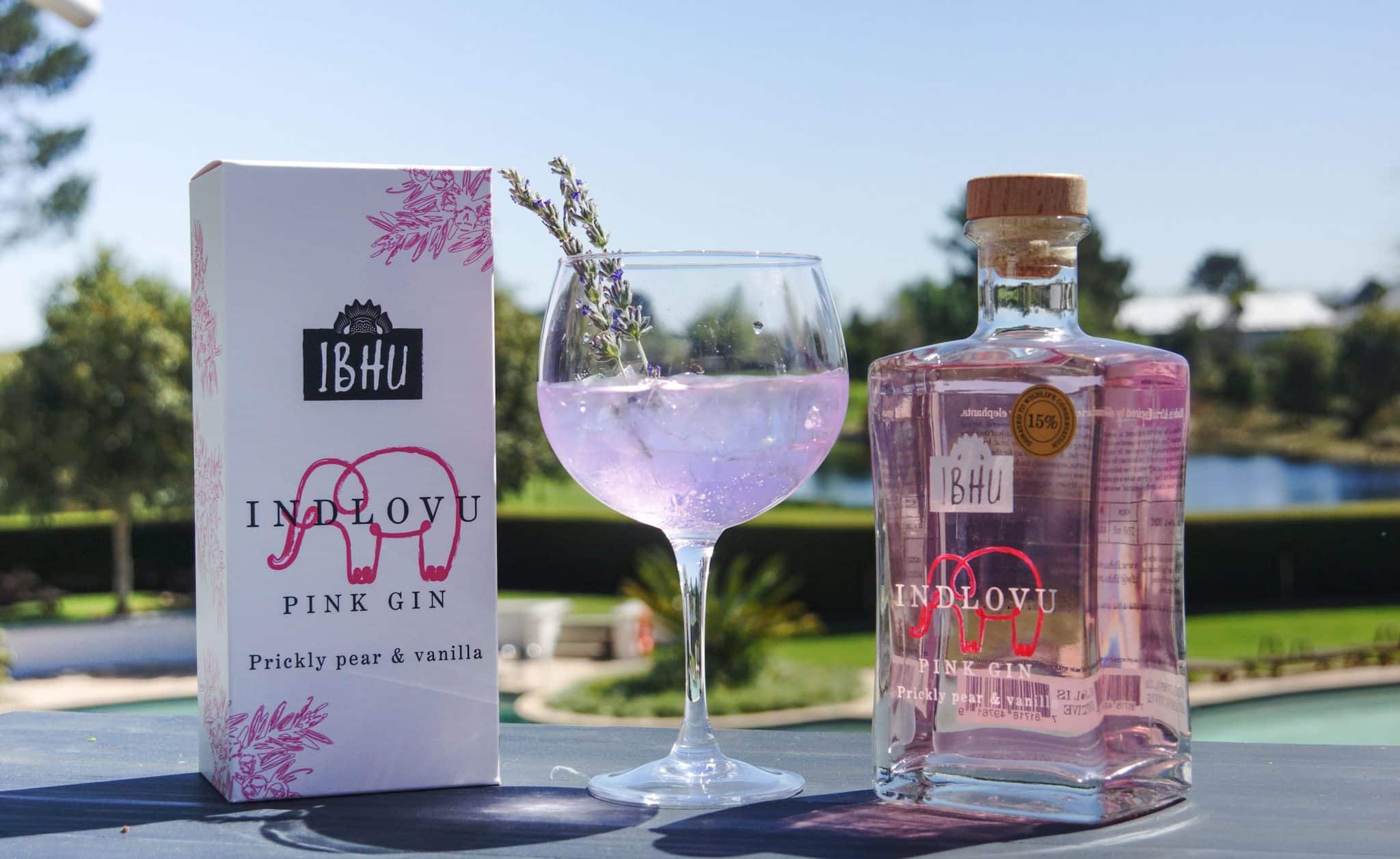 Ibhu Indlovu Pink - immagine 2